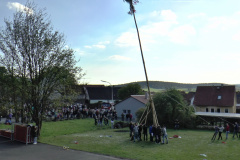 maibaum_2017_13_20170504_1855895876